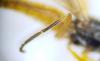 222349 – Photo : Guillaume Delporte – France (59)